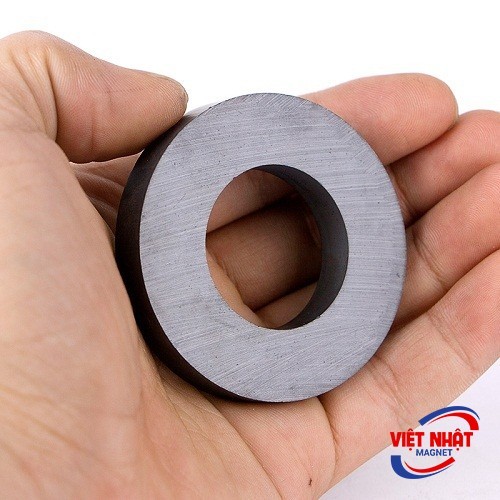 Nam châm ferrite 45x8 lỗ 19mm